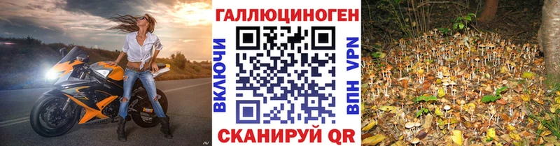 Псилоцибиновые грибы Psilocybine cubensis Петухово